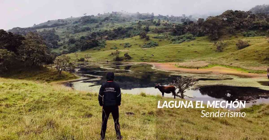 Laguna El Mechón: Senderismo cerca a Bogotá entre fósiles, frailejones y aguas cristalinas